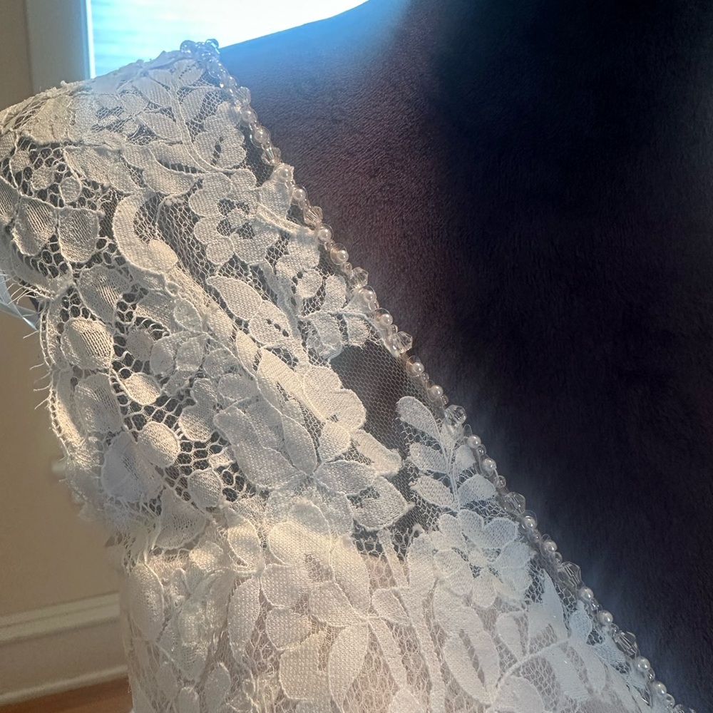 Pronovias Lyra wedding dress - Picture 7 of 13